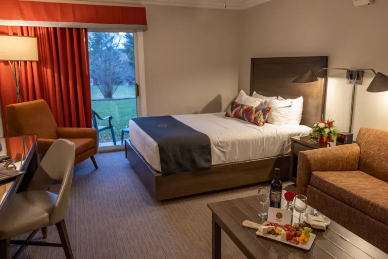 Deluxe Studio room with pull out couch.